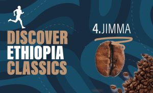 DISCOVER ETHIOPIA CLASSICS 4. JIMMA