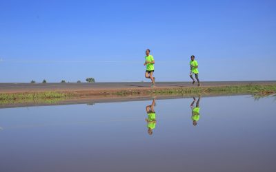 DISCOVER ETHIOPIA CLASSICS 4. JIMMA